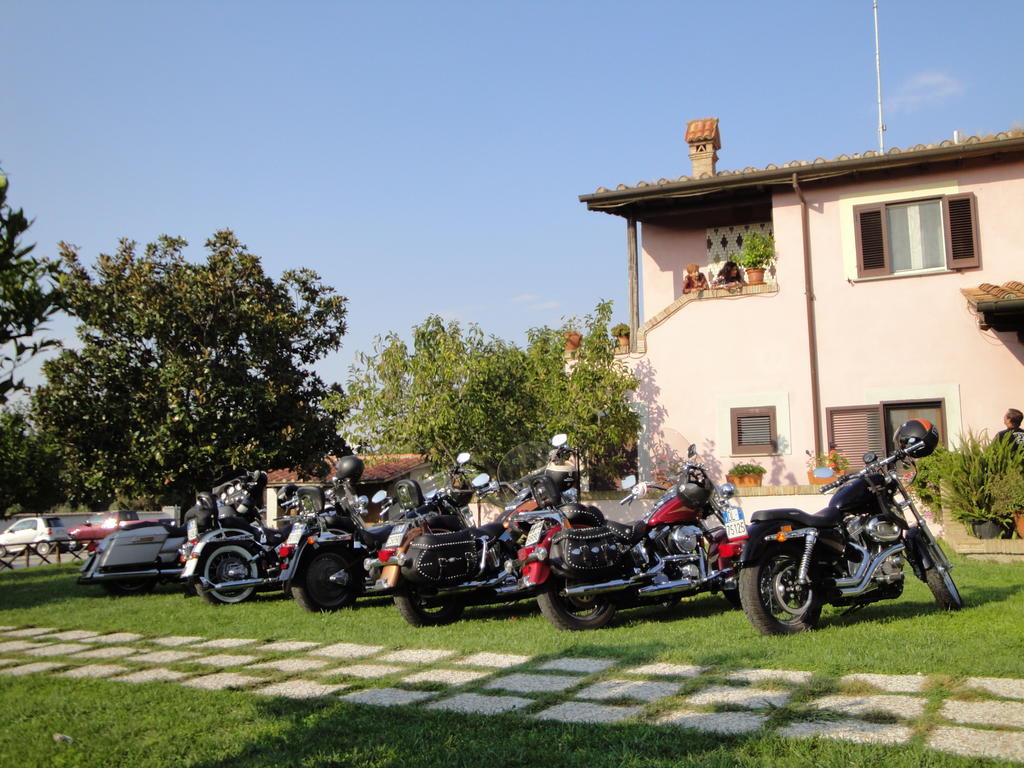 Agriturismo La Valle Di Ceri Cerveteri Eksteriør billede