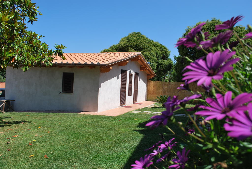 Agriturismo La Valle Di Ceri Cerveteri Eksteriør billede