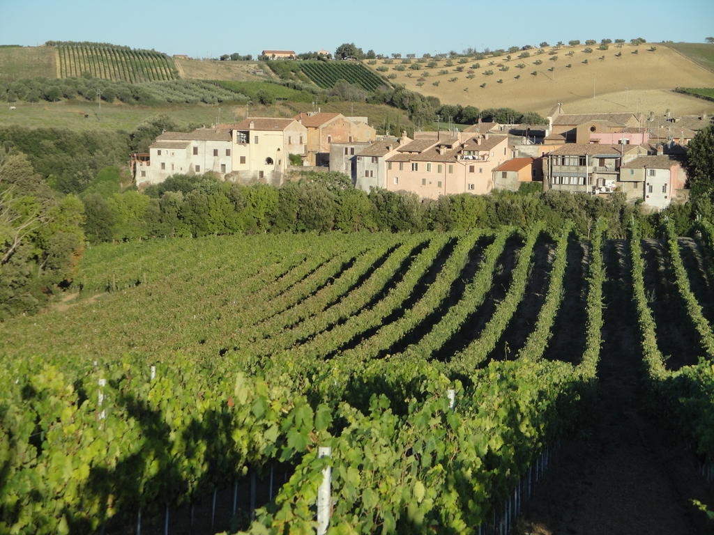 Agriturismo La Valle Di Ceri Cerveteri Eksteriør billede